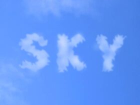 Skystta com