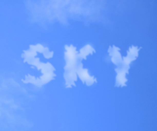 Skystta com