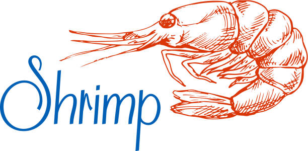 Chscampamp.org